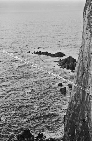 ATLANTIC DRIVE COASTAL SCENE